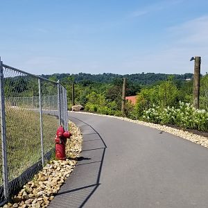 Pittsburgh 8/21 - New path