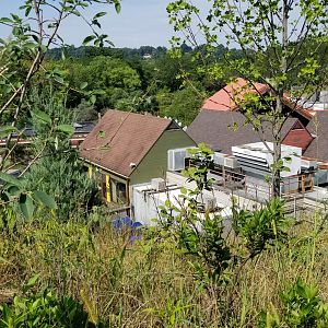 Pittsburgh 8/21 - Restaurant from above
