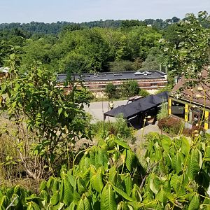 Pittsburgh 8/21 - Cheetah building from above