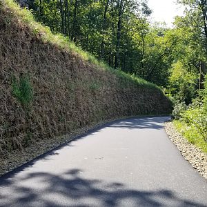Pittsburgh 8/21 - New path from jungle odyssey to aquarium
