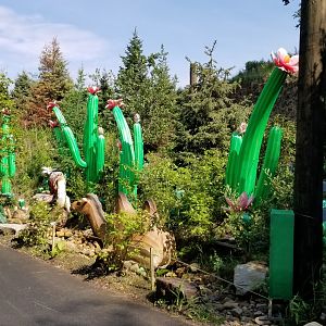 Pittsburgh 8/21 - Desert lanterns