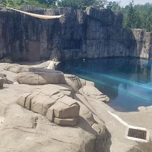 Pittsburgh 8/21 - Polar bear exhibit from top