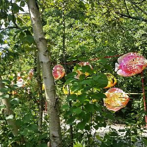 Pittsburgh 8/21 - Fish lanterns