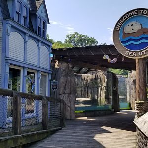 Pittsburgh 8/21 - Sea otters