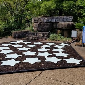 Pittsburgh 8/21 - Light up walking pad