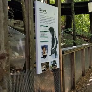 Pittsburgh 8/21 - Striped skunk sign and exhibit