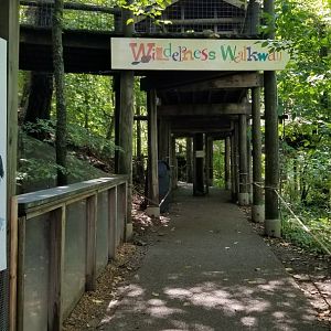 Pittsburgh 8/21 - Wilderness Walkway (North american animals)
