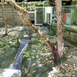 Pittsburgh 8/21 - River otter training