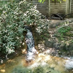 Pittsburgh 8/21 - River otter exhibit
