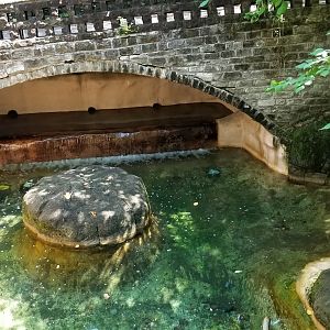 Pittsburgh 8/21 - Beavers