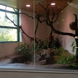 Pittsburgh 8/21 - Asian cave snake