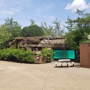 Pittsburgh 8/21 - Sea lion underwater window