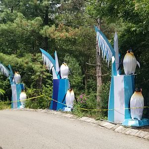 Pittsburgh 8/21 - Penguin lanterns