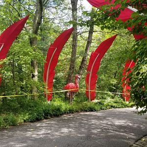 Pittsburgh 8/21 - Flamingos, the last lanterns before you repeat the entrance ones