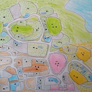 Island Wildlife Center