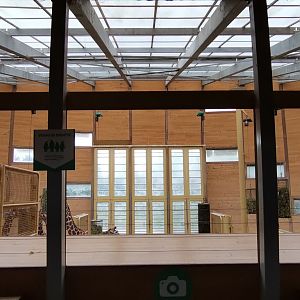 Giraffe house interior