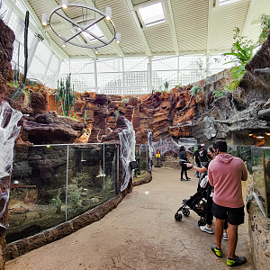 Oct. 2021 - Scaly, Slimy, Spectacular - Third Room