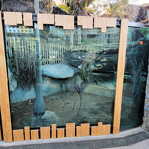 Oct. 2021 - Scaly, Slimy, Spectacular - Slender-snouted Crocodile Exhibit