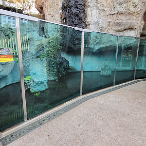 Oct. 2021 - Scaly, Slimy, Spectacular - Slender-snouted Crocodile Exhibit