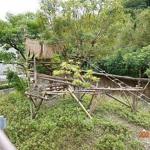 The outdoor exhibition for the black howlers (Alouatta caraya)