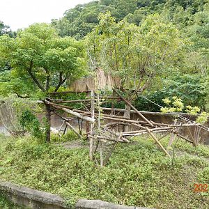 The outdoor exhibition for the black howlers (Alouatta caraya)