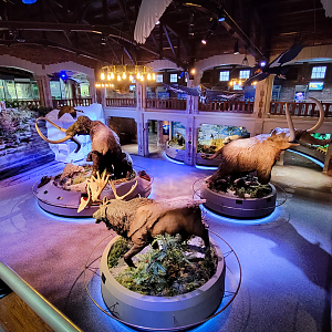 Oct. 2021 - Museum of Science - Ohio: After the Ice (From Above)
