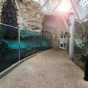 Oct. 2021 - Scaly, Slimy, Spectacular - Slender-snouted Crocodile + Timor Python Exhibits