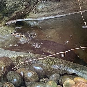 Mertens water monitor 020821