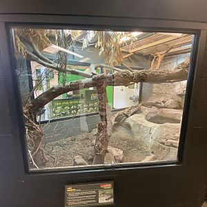 Lace monitor exhibit 020821