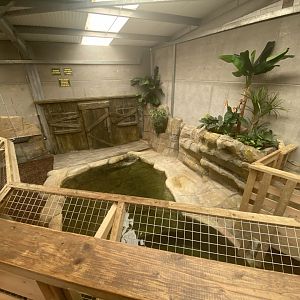 False gharial exhibit 020821