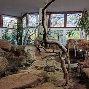 Dwarf Mongoose Indoor Enclosure
