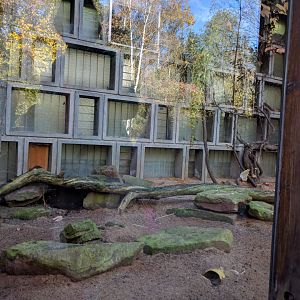 First Sahara striped Polecat Enclosure