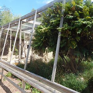 Aviary in African section 030821