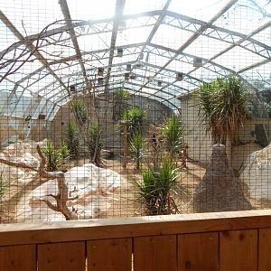 Aviary in African section 030821
