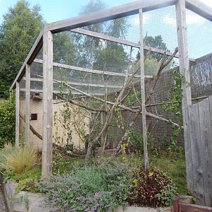 Aviary in African section 030821