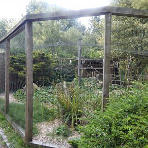 Long-legged wading bird aviary 030821