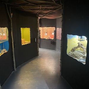 Various indoor vivarium 030821