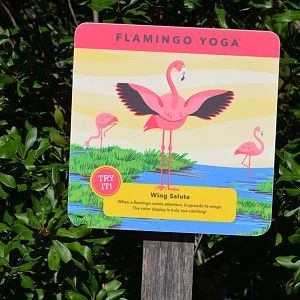 American Flamingo Sign