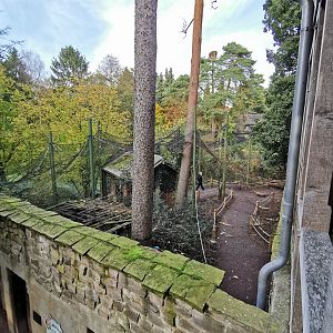 Walk-through aviary in Uhu-Burg