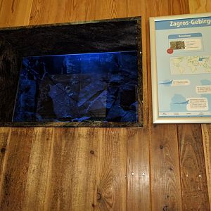 Kaisers Spotted Newt Habitat