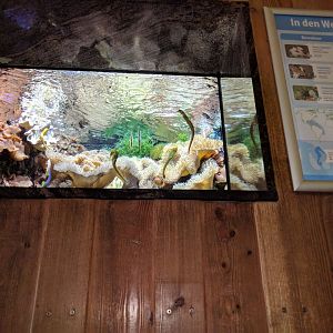 Unique Fish Tank