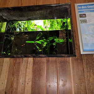 South East Asia Palaudarium