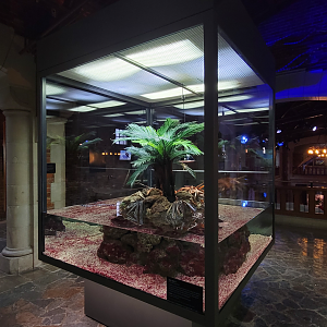 Oct. 2021 - Museum of Science - Hall of Venom - Yellow-lipped Sea Krait Exhibit