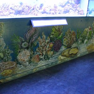 Artwork around the aquariums