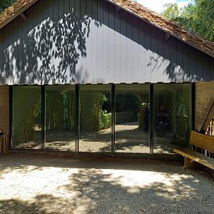 Pygmy hippo indoor enclosure