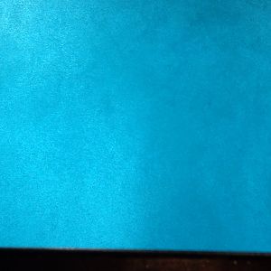 Bottlenose Dolphin Underwater Viewing