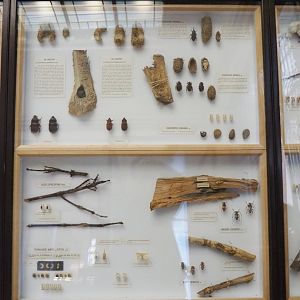 Agricultural pests displays, 2021-10-20