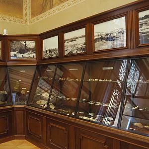 Historical display cases with invertebrate specimens and photo from Central Africa, 2021-10-20