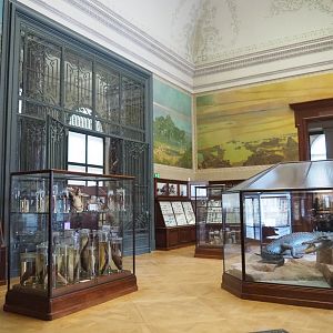 Crocodile Hall, 2021-10-20