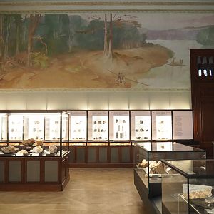 Mineral Cabinet, 2021-10-20